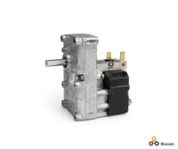 Extraflame gearmotor