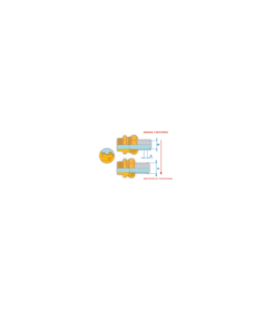 Messingfitting DN20